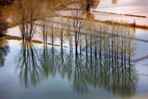 How to Protect Your Home from Inland Flooding From Lakes and Rivers