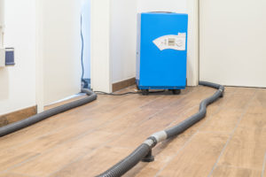Trends Shaping the Water Damage Restoration & Repair Industry in 2023