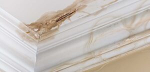 How to Tell If House Water Damage Is New or Old